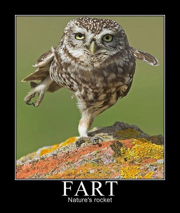 Demotivational-pictures-fart.jpg